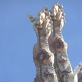 CIMG0469