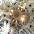 CIMG0477