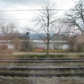 IMG 0795