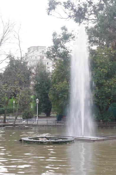 IMGP0643.JPG