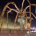 IMGP0673