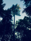 image 002